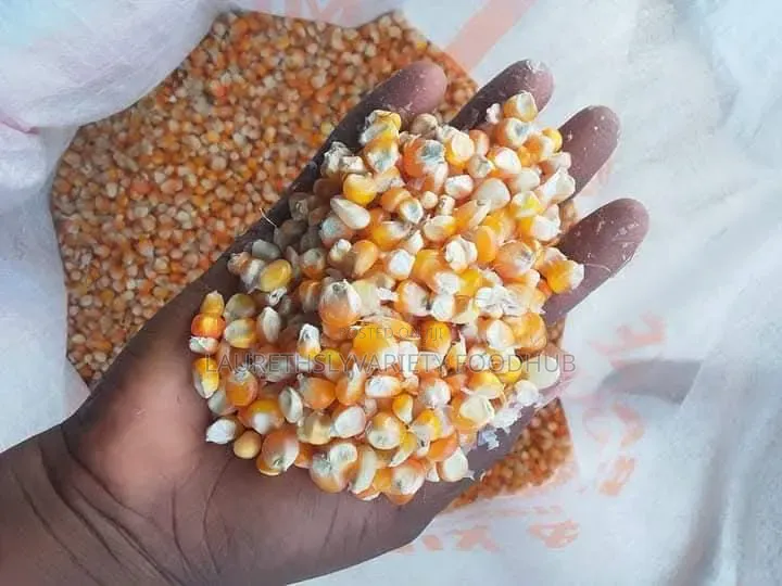 Cheapest Red Maize Deal Right Now