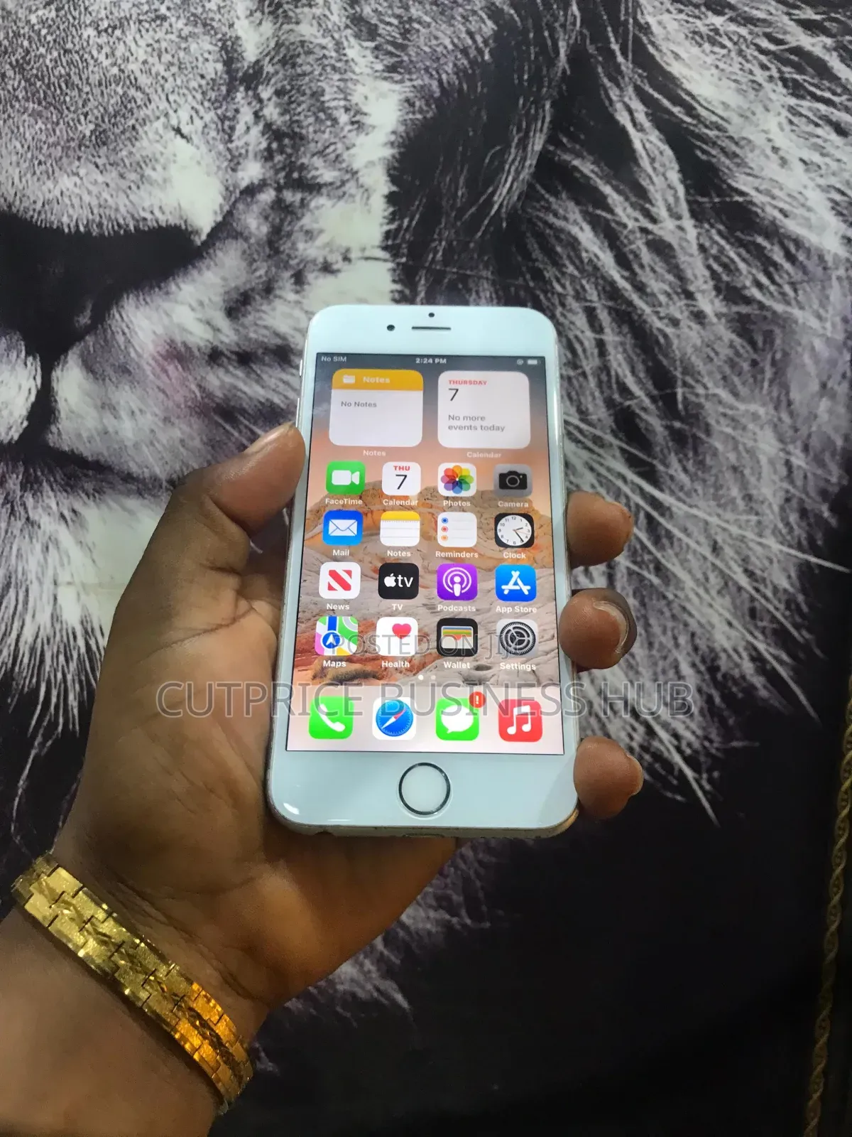 Apple iPhone 6s 64 GB Silver