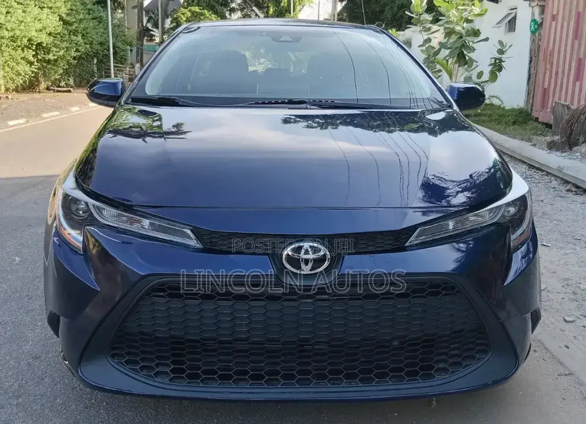 Toyota Corolla LE 2020 Blue