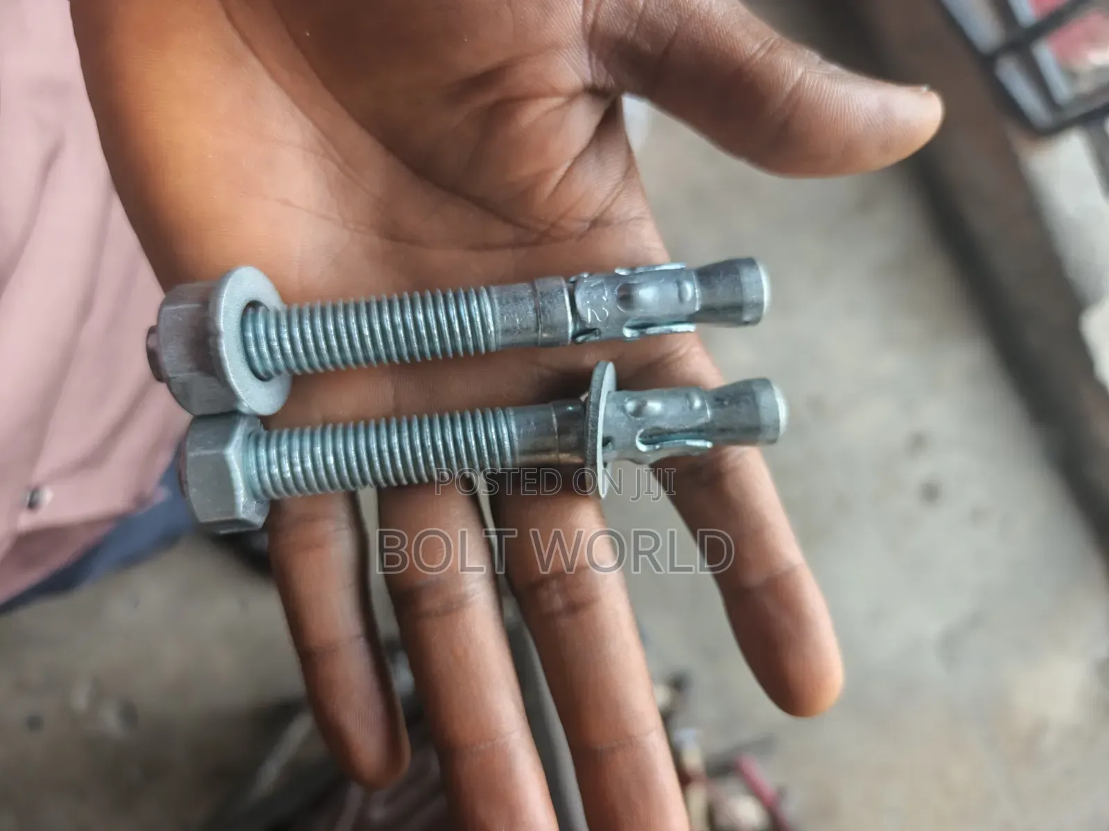 12*100 Wedge Anchor Bolt and Nut