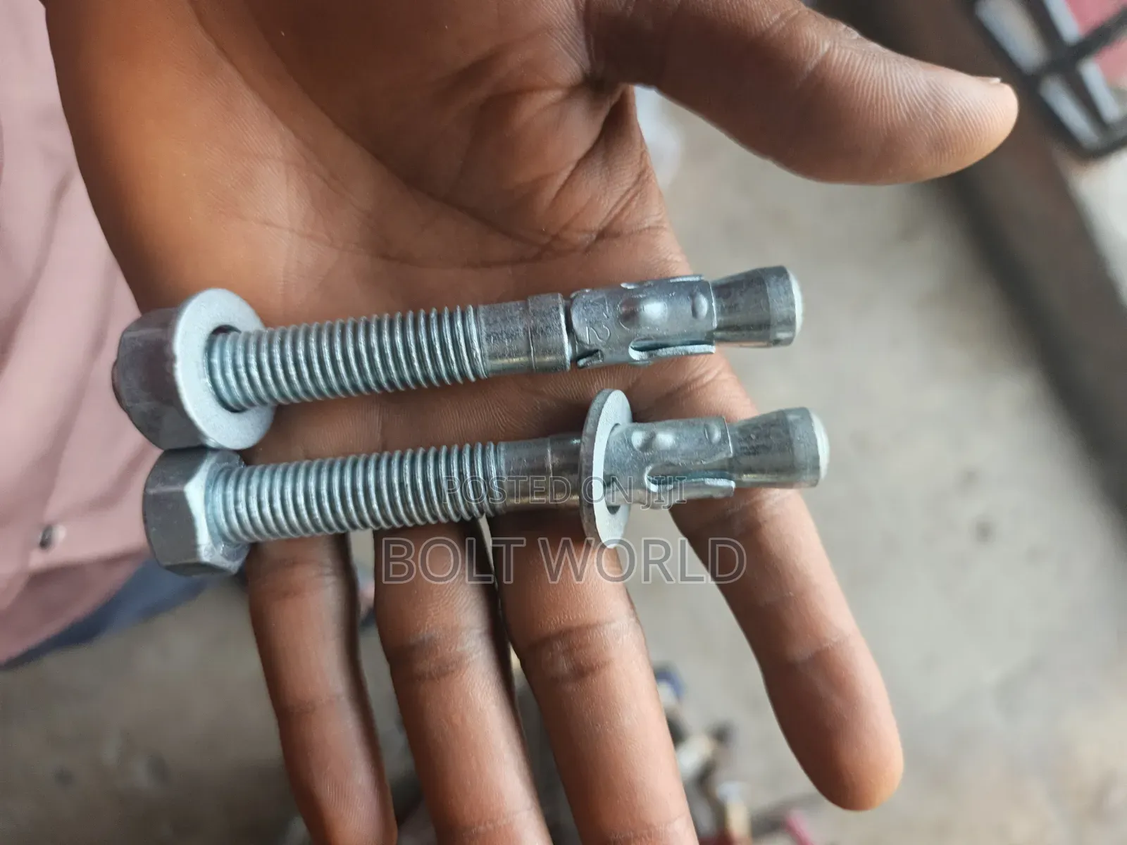 12*100 Wedge Anchor Bolt and Nut