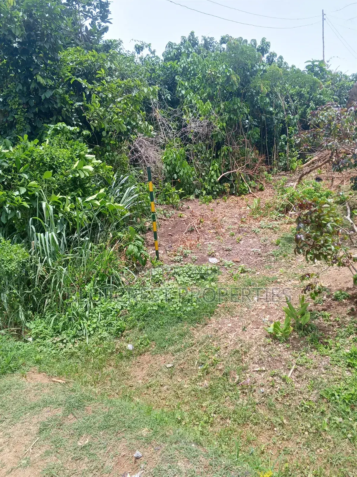 A Plot of Land Is for Sale at Wisdom Estate