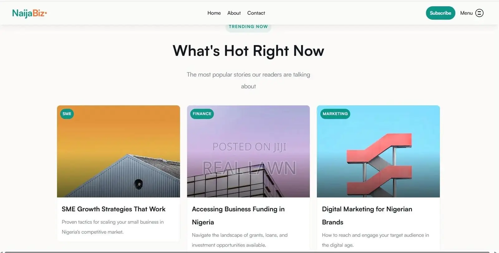 Company Website Design for Nigerian Businesses (See Demo First)