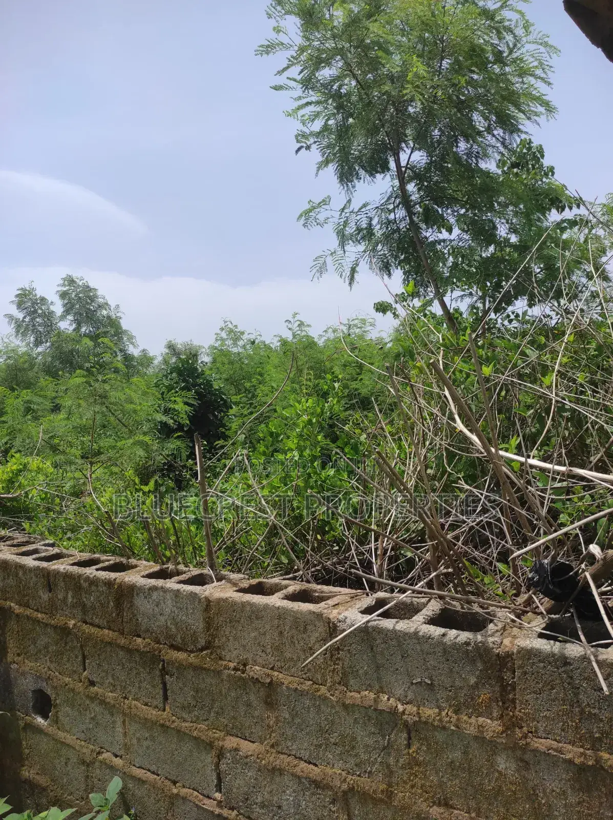 2 Plot of Land Is for Sale at Olurunda Akobo Ibadan