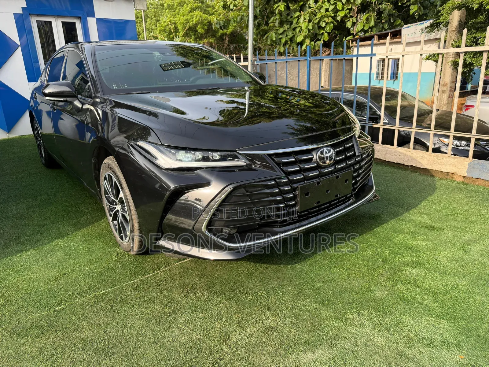 Toyota Avalon 2023 Black