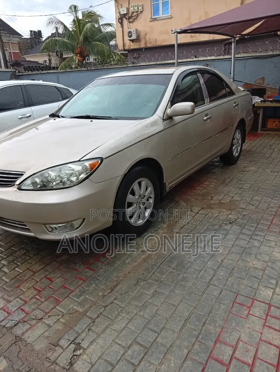 Toyota Camry XLE V6 4dr Sedan (3.0L 6cyl 5A) 2005 Gold