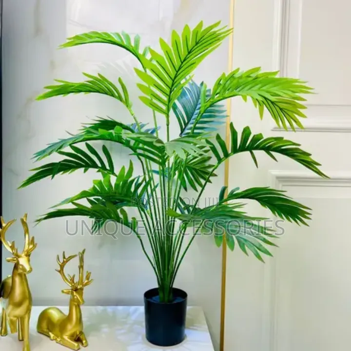 Palm Tree Plant Flower