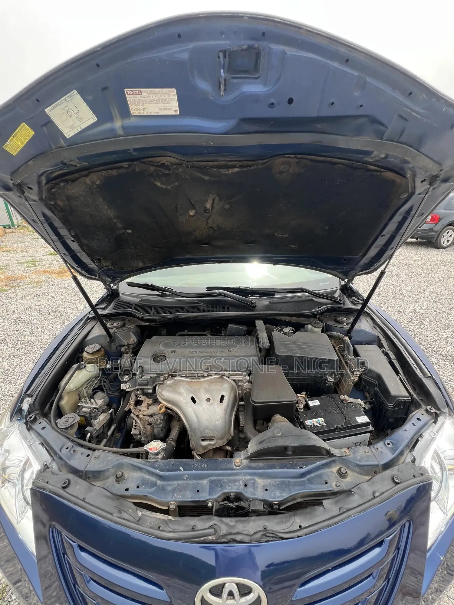 Toyota Camry XLE 4dr Sedan (2.4L 4cyl 5A) 2009 Blue