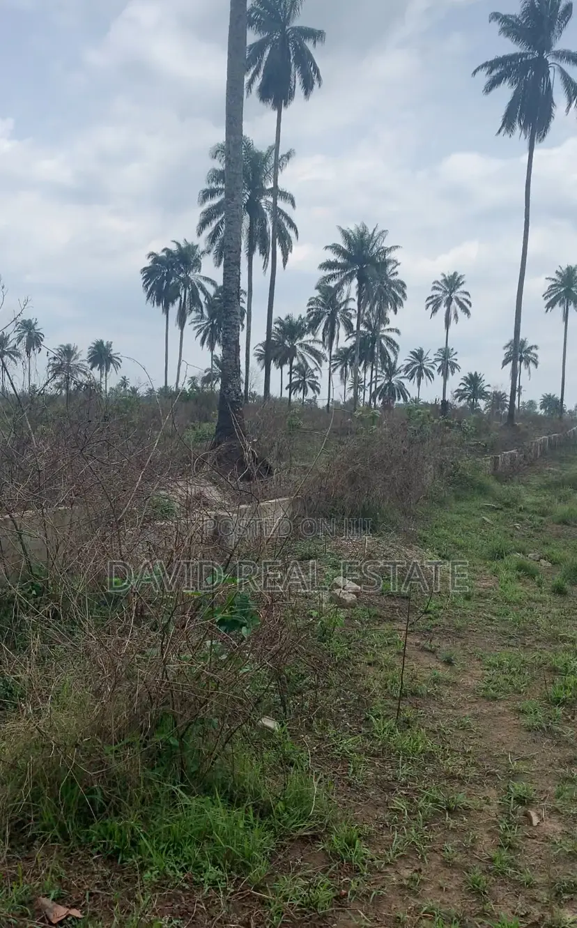Land for Sale in Igwuruta, Ph