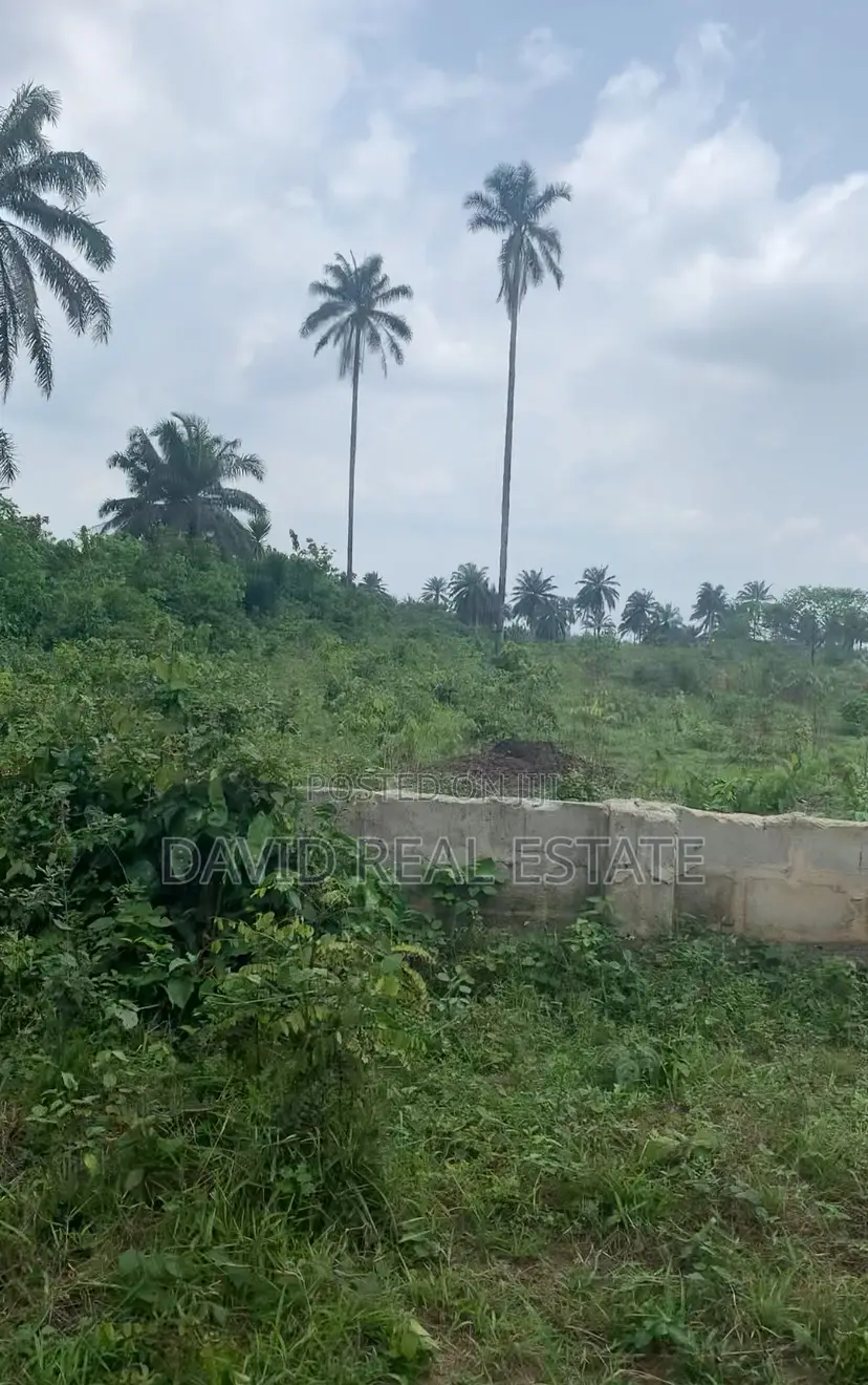 Land for Sale in Igwuruta, Ph