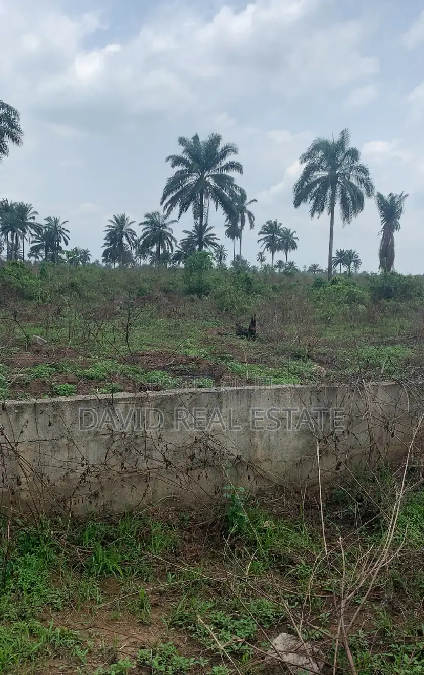 Land for Sale in Igwuruta, Ph