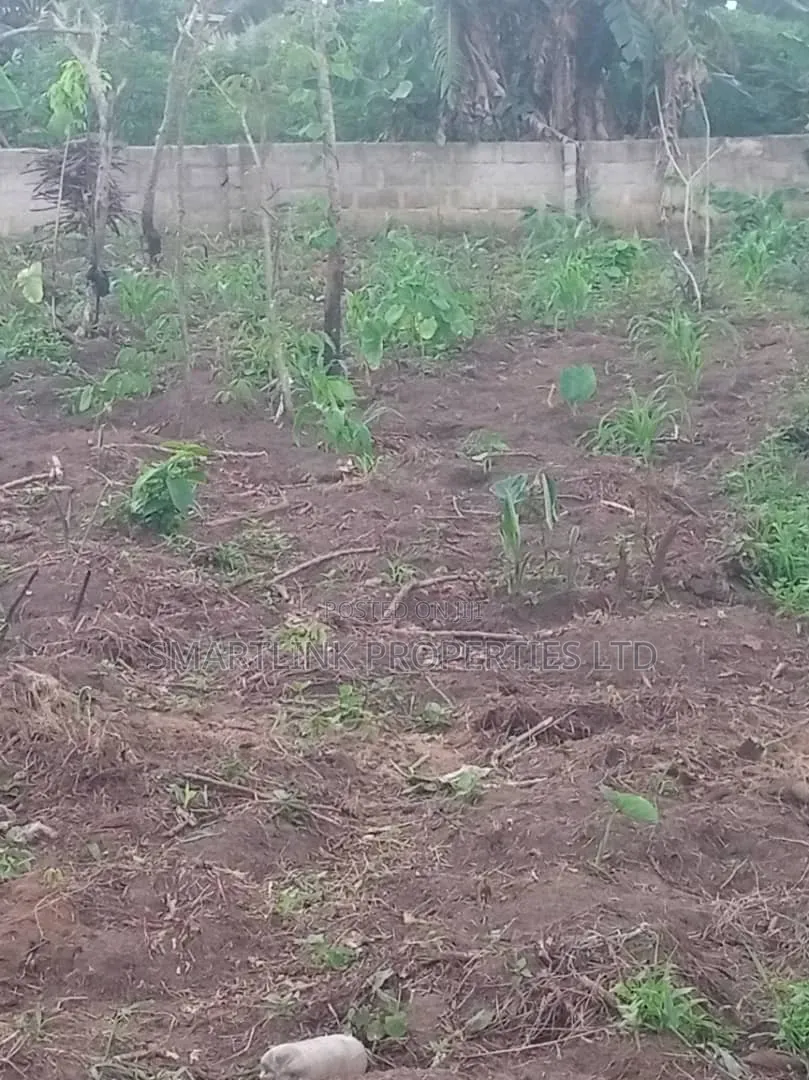 2 Half Plots of Land for Sale in Portharcourt