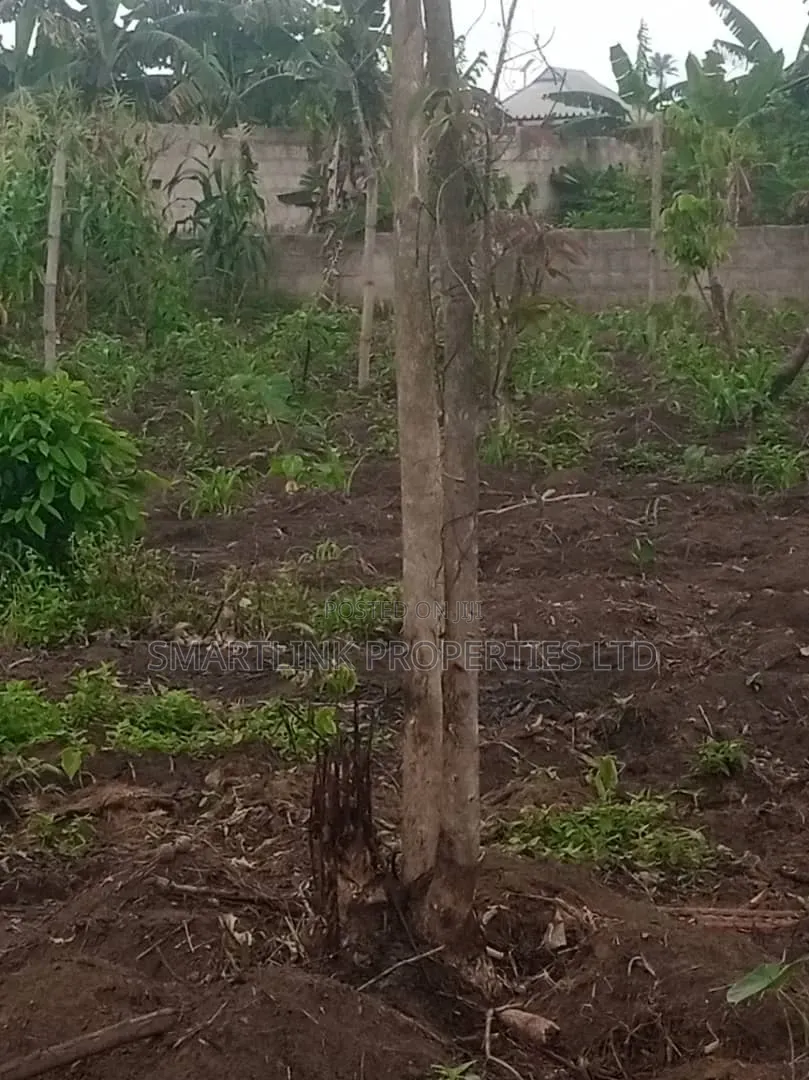 2 Half Plots of Land for Sale in Portharcourt