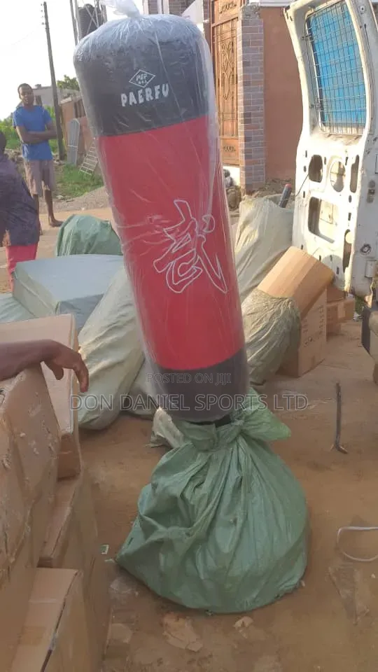 Standing Punching Bag
