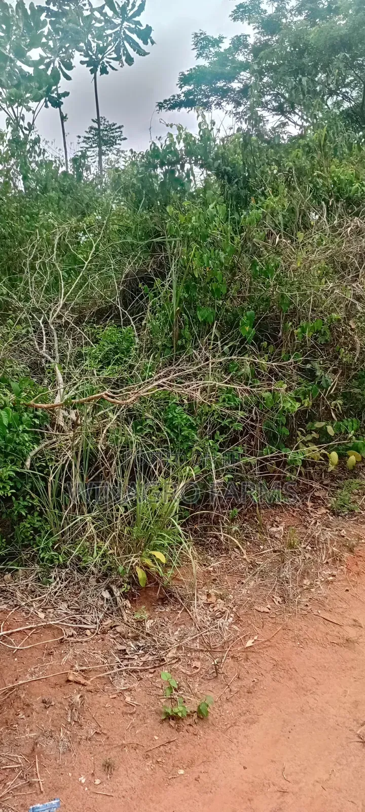28 Acres Rural Land For Farming