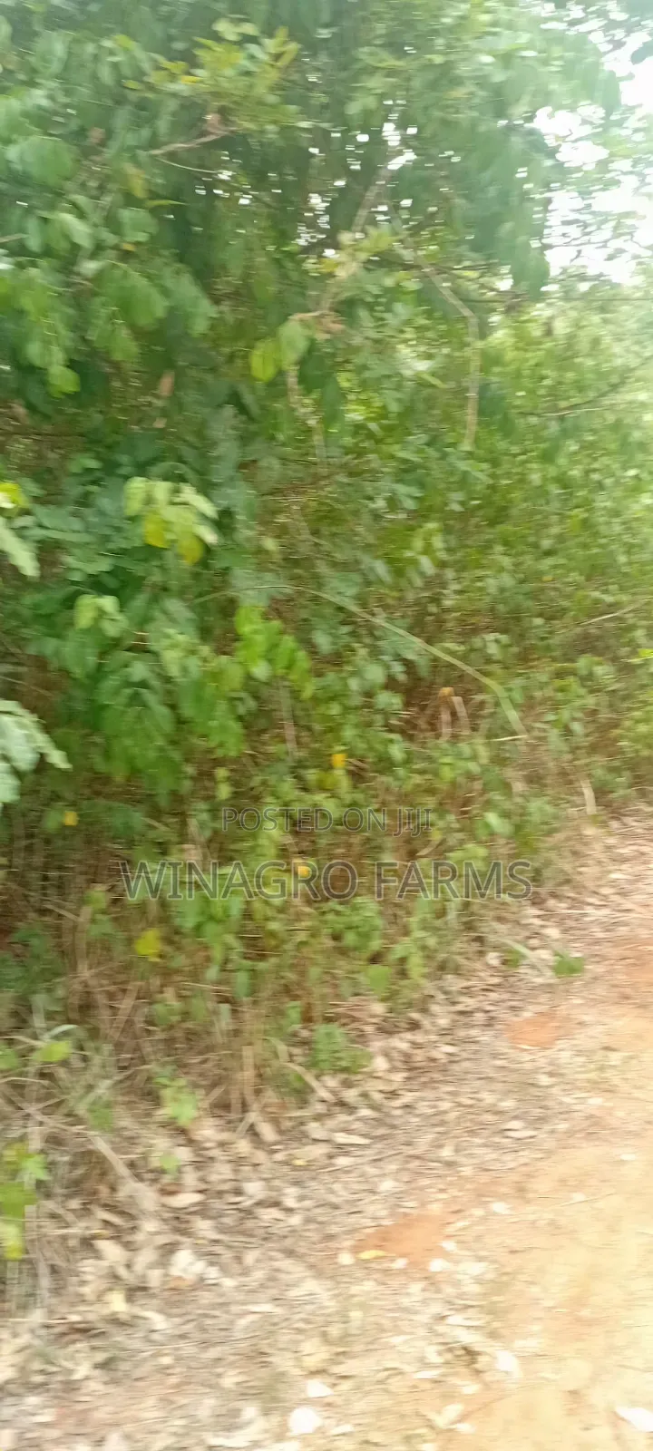 28 Acres Rural Land For Farming
