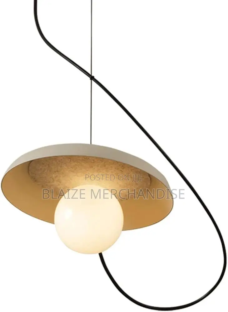 Magnet Adsorption Metal Pendant Light With Globe Shade