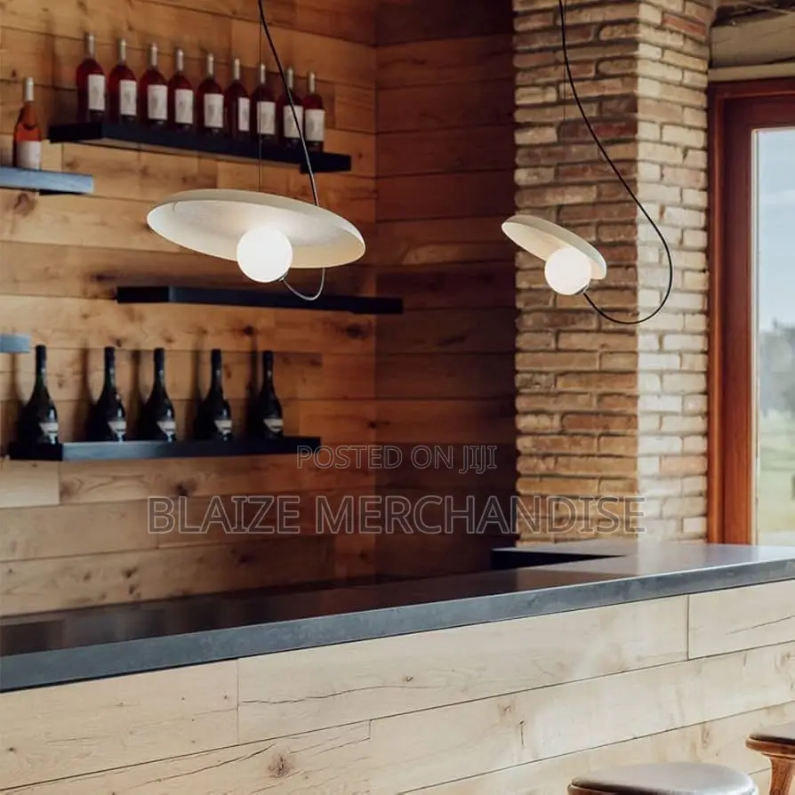 Magnet Adsorption Metal Pendant Light With Globe Shade