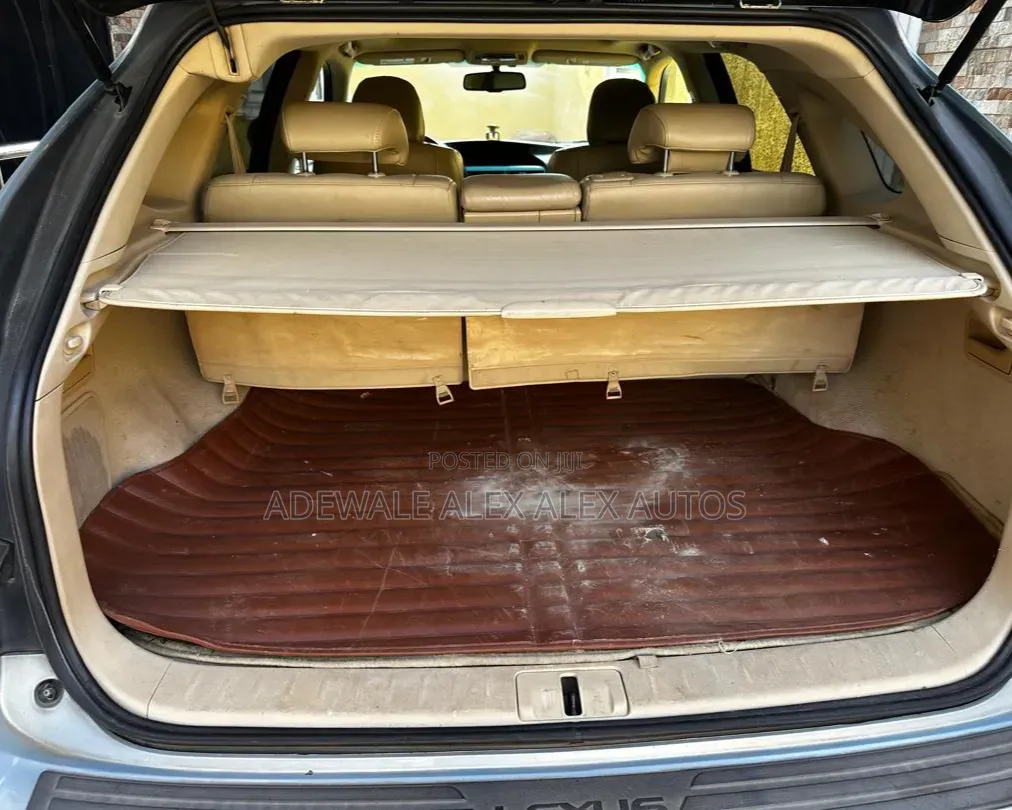 Lexus RX 2010 Blue