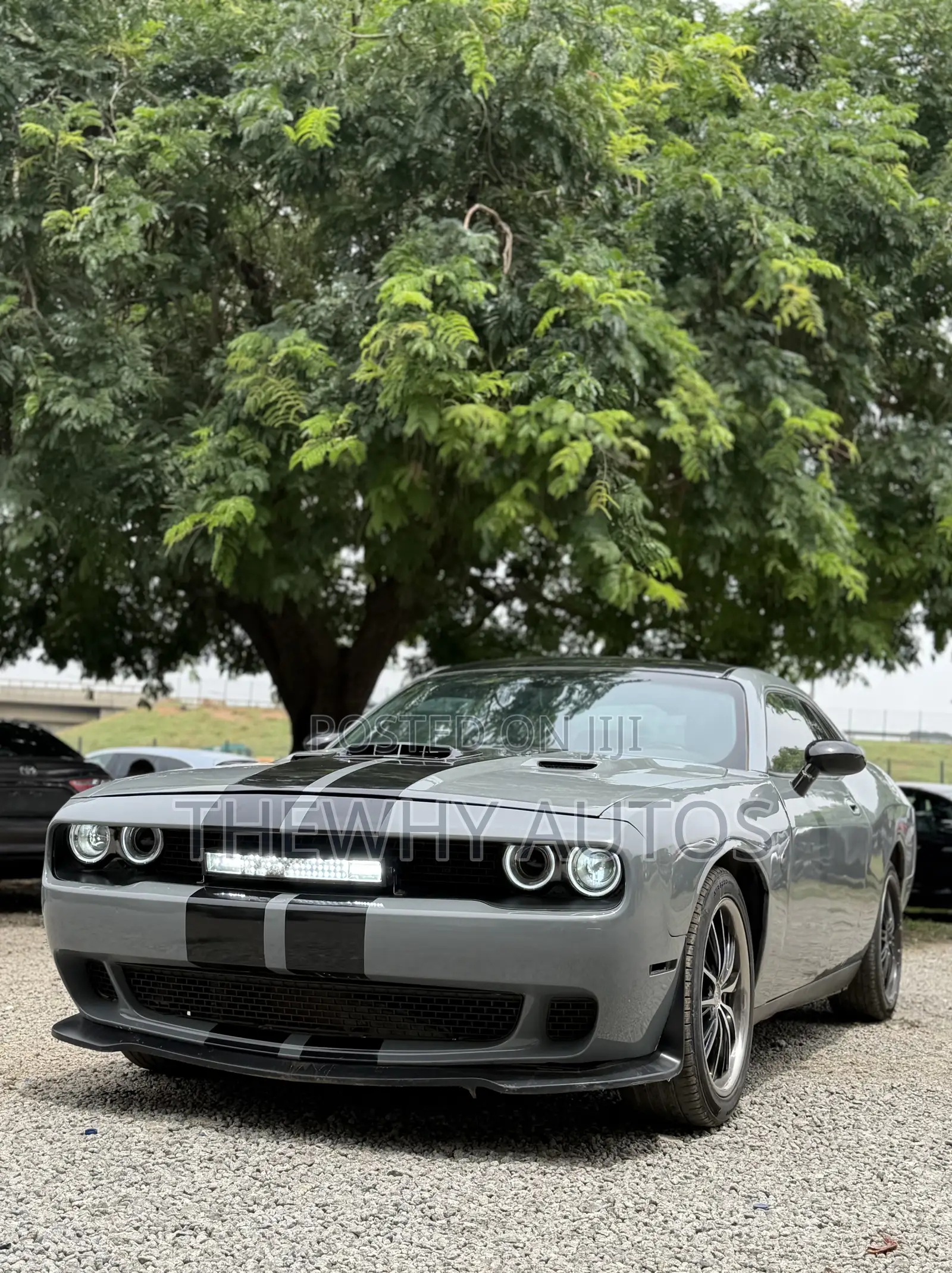 Dodge Challenger SRT-8 2009 Gray