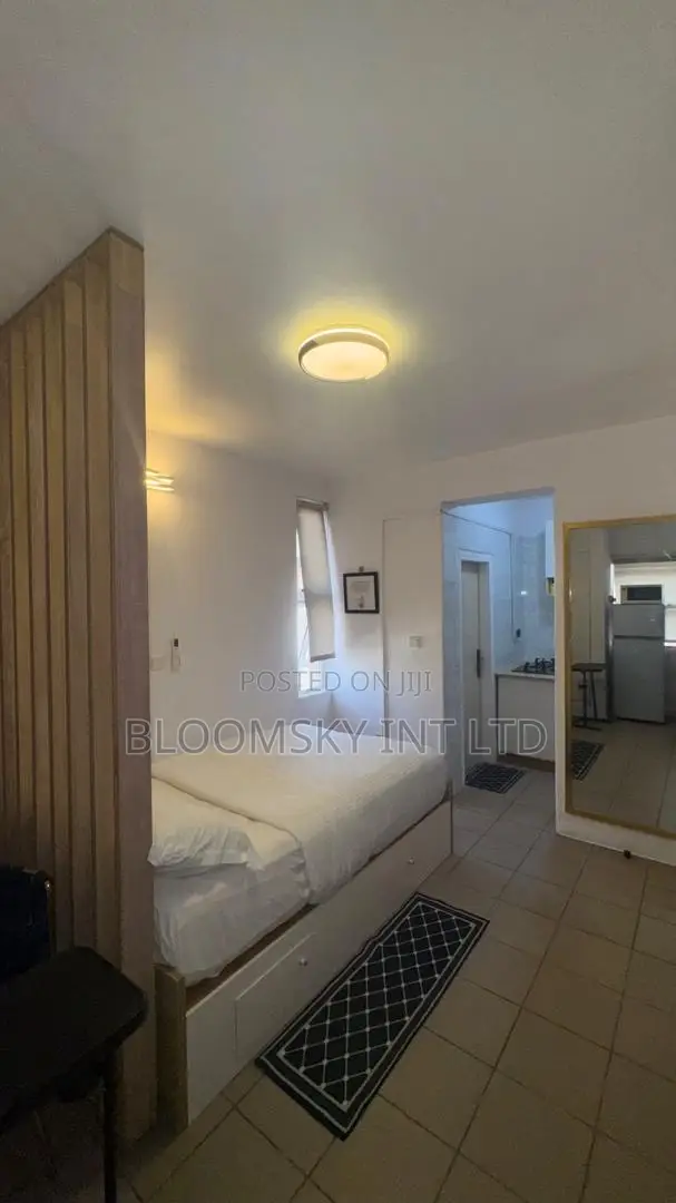 Lovely Studio Apartment in Ikoyi