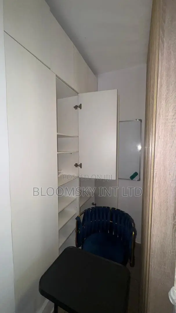 Lovely Studio Apartment in Ikoyi