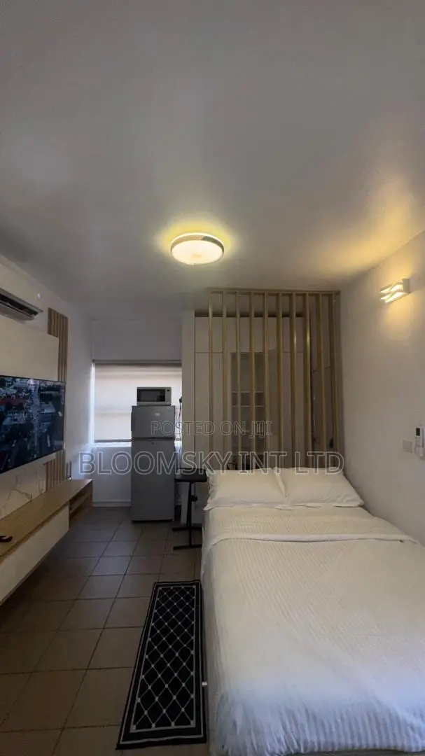 Lovely Studio Apartment in Ikoyi