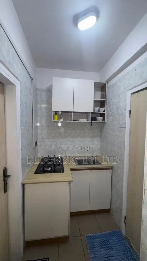Lovely Studio Apartment in Ikoyi