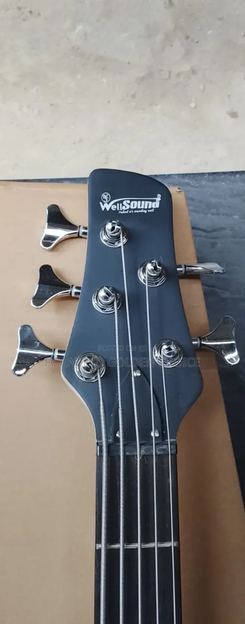 Well Sound 5string Passive Guitar Bass Guitar