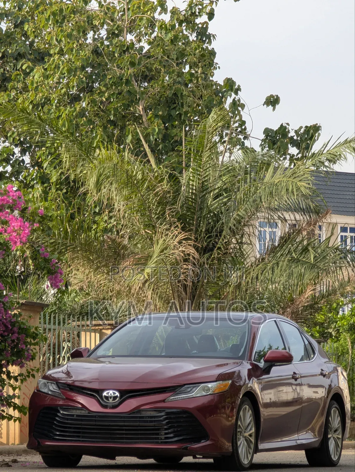 Toyota Camry XLE V6 (3.5L V6 8A) 2019 Red