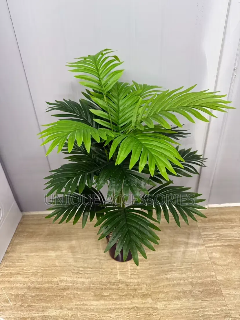 Palm Tree Plant Flower