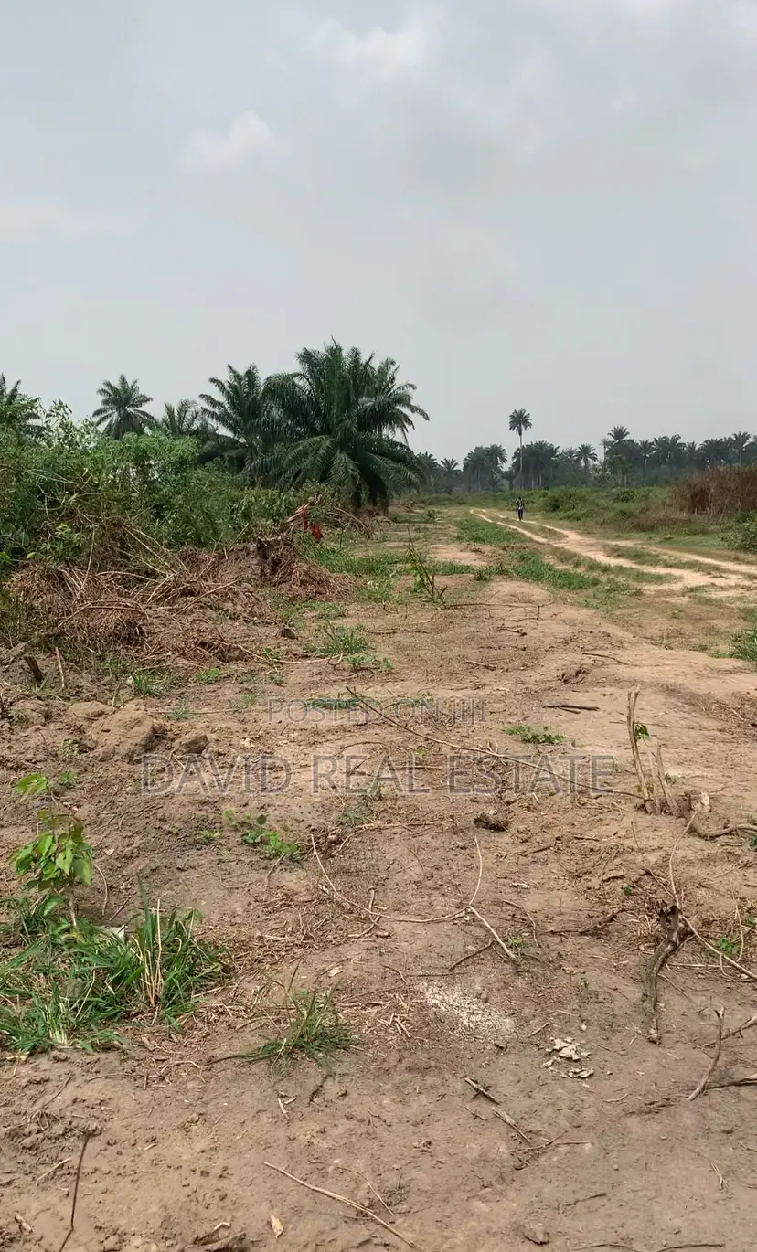 Verified Land for Sale – Igwurutali, Port Harcourt