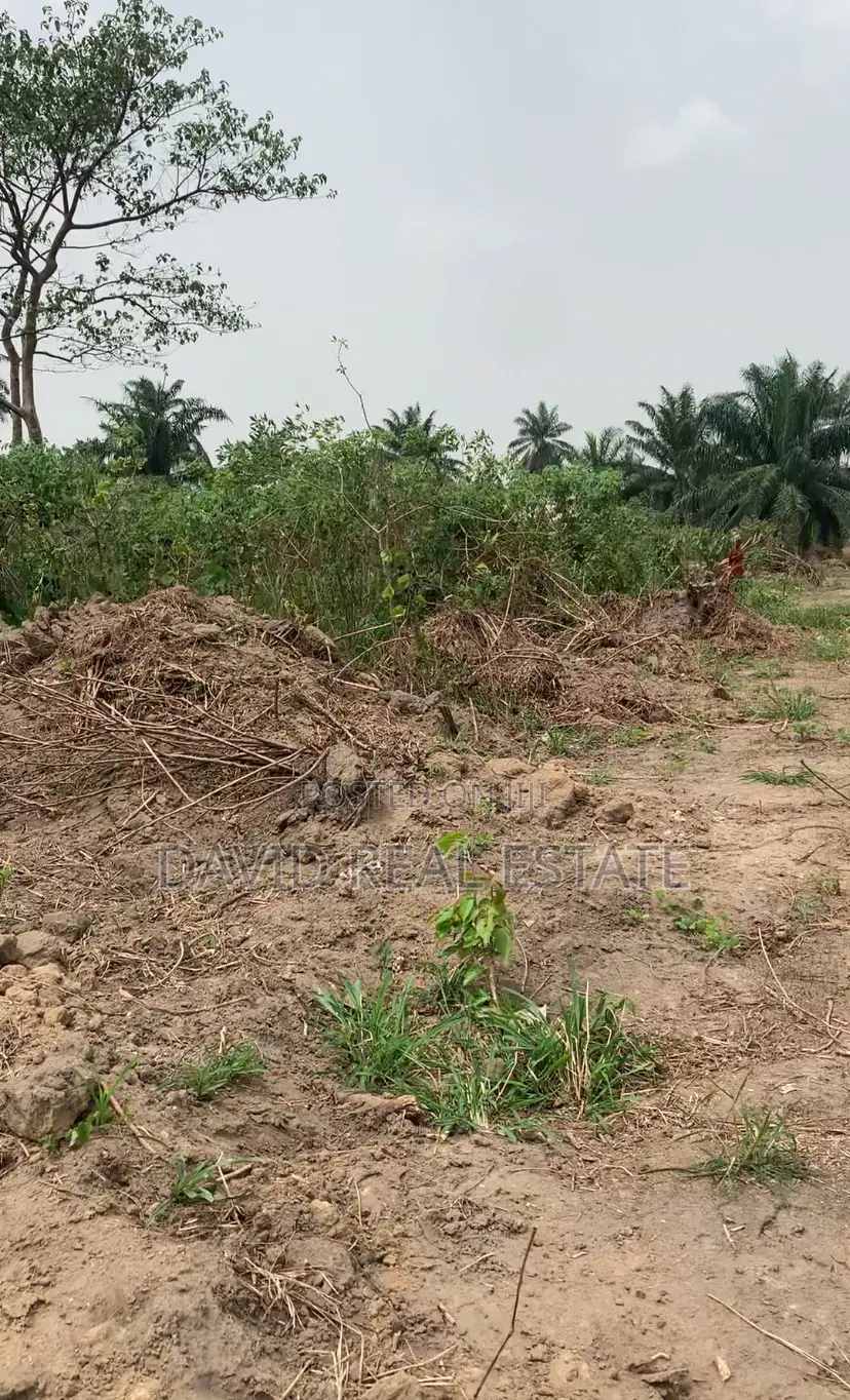 Verified Land for Sale – Igwurutali, Port Harcourt