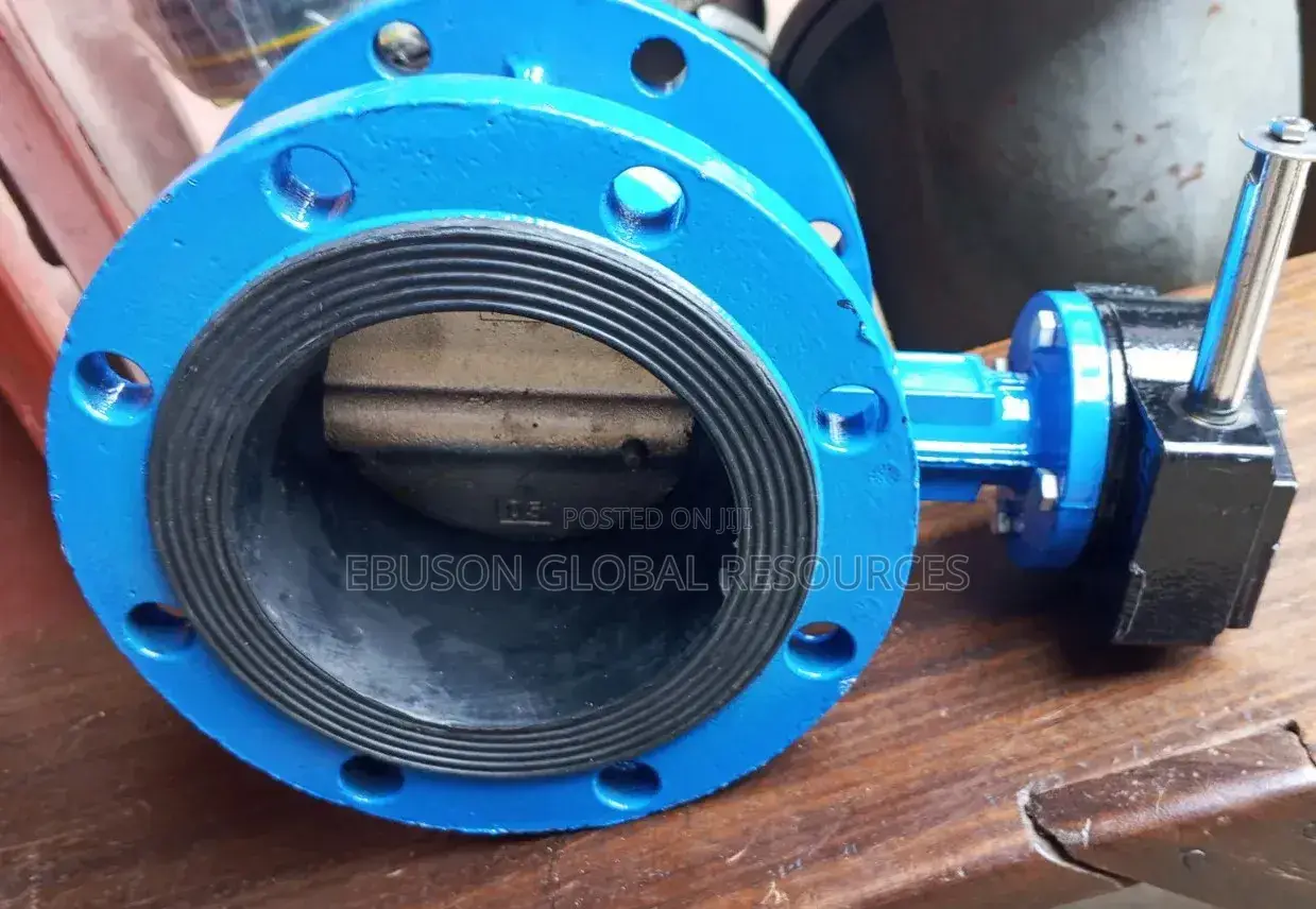 Flange Butterfly Valve