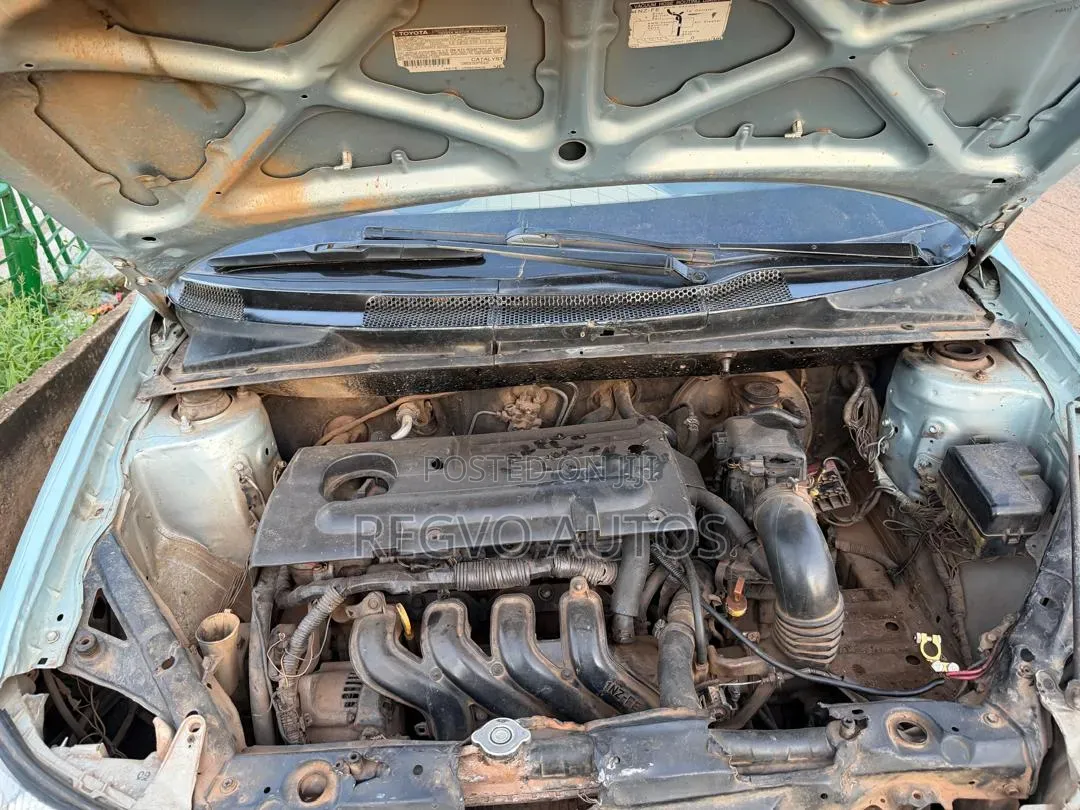 Toyota Echo Automatic 2003 Blue