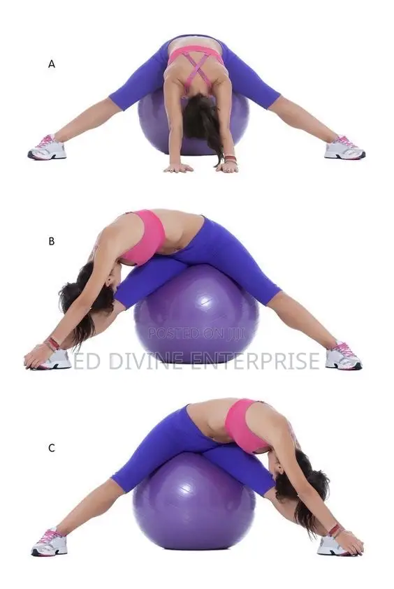 Exercise Gym Ball