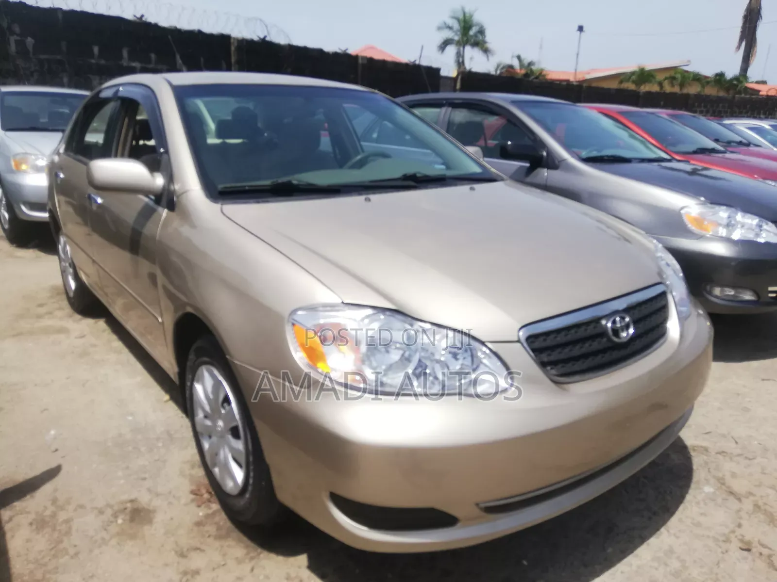Toyota Corolla LE 2005 Gold