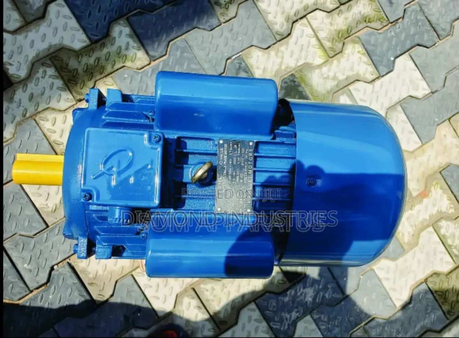 Industrial Electric Motor