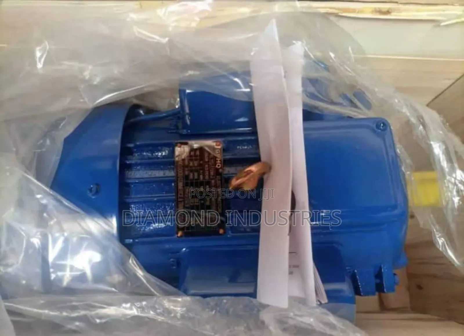 Industrial Electric Motor