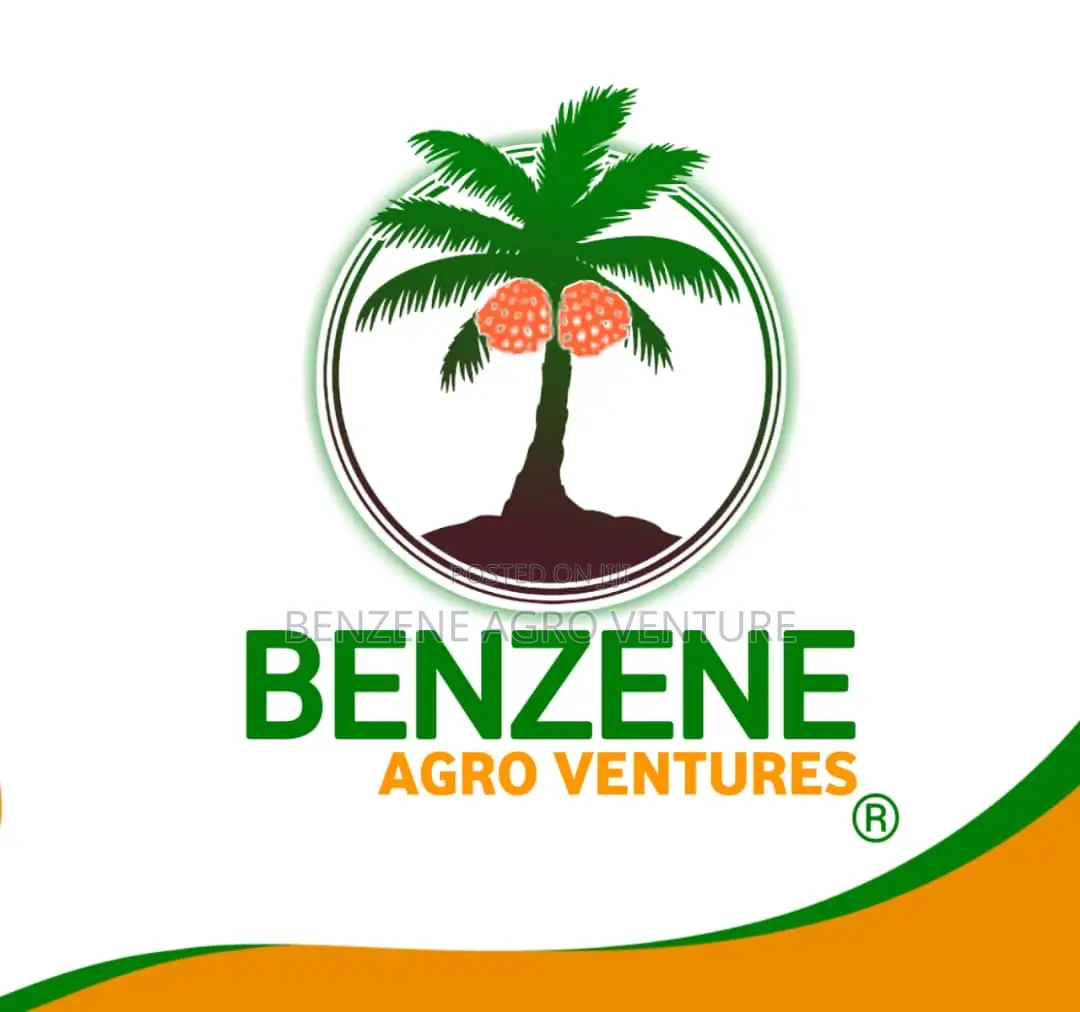 Supergene Palm Seedlings