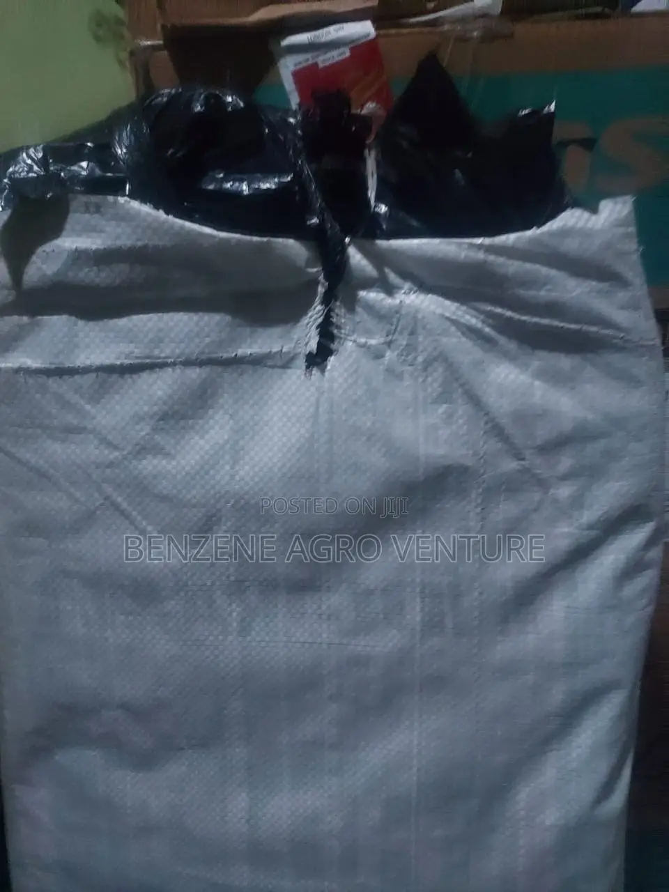 Polythene Bags for Palm Nursery