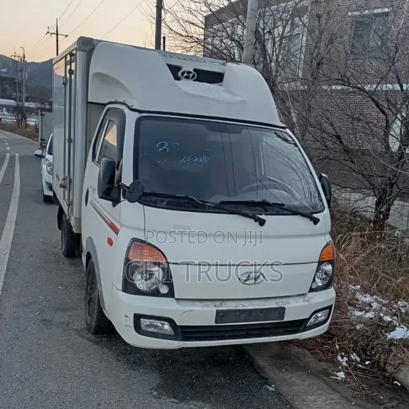 Hyundai Refrigerator Mini Truck