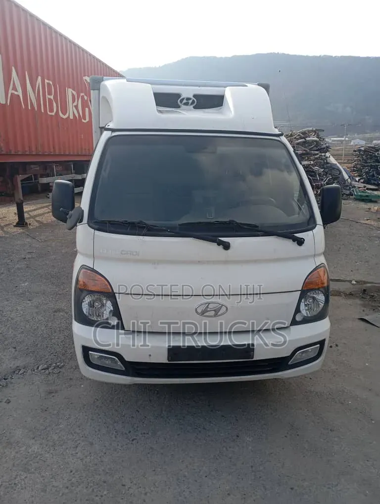 Hyundai Refrigerator Mini Truck