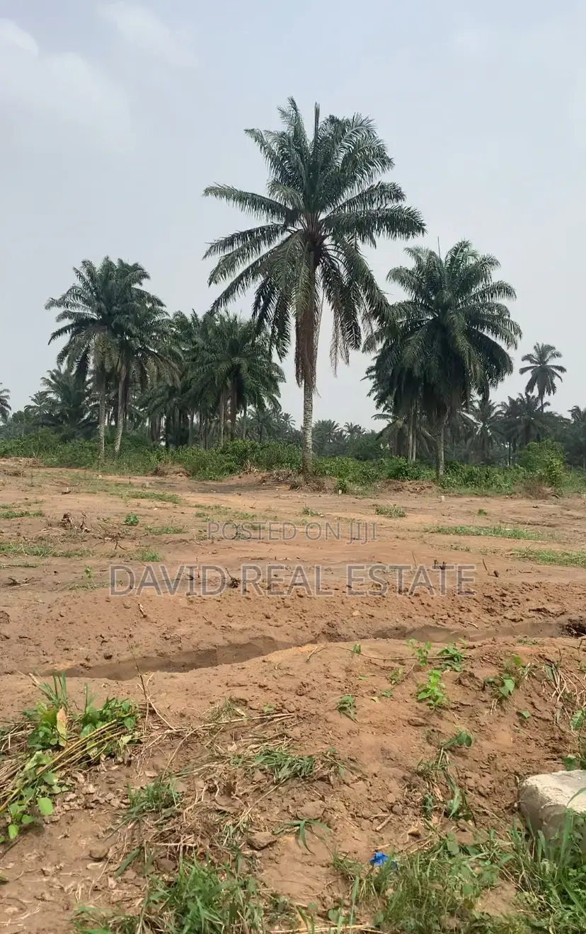 Land for Sale - Eneka Ring Road