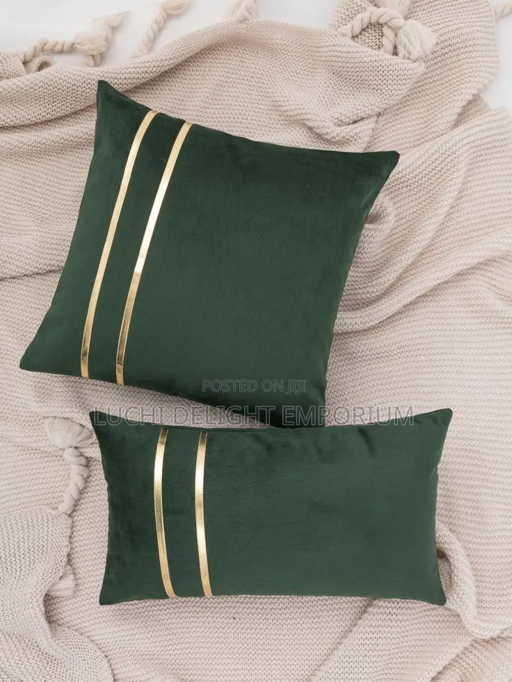 Upgrade Your Space With Our 2-set Velvet Combo Unique Throw Pillows
