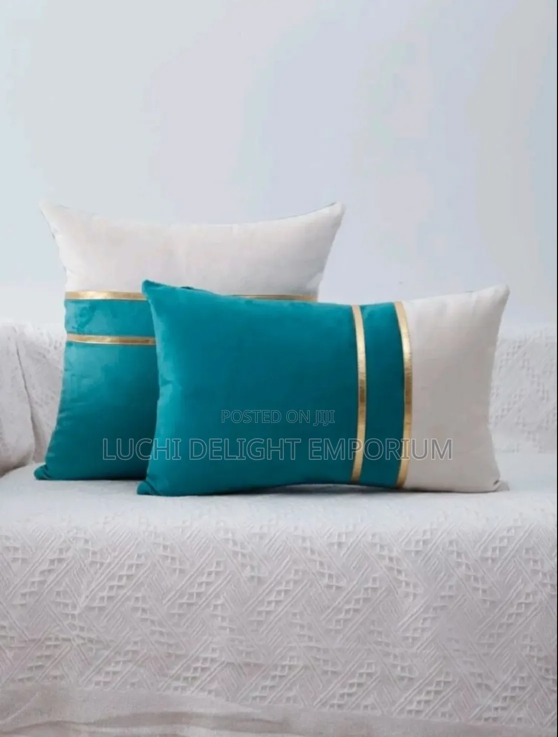 Upgrade Your Space With Our 2-set Velvet Combo Unique Throw Pillows