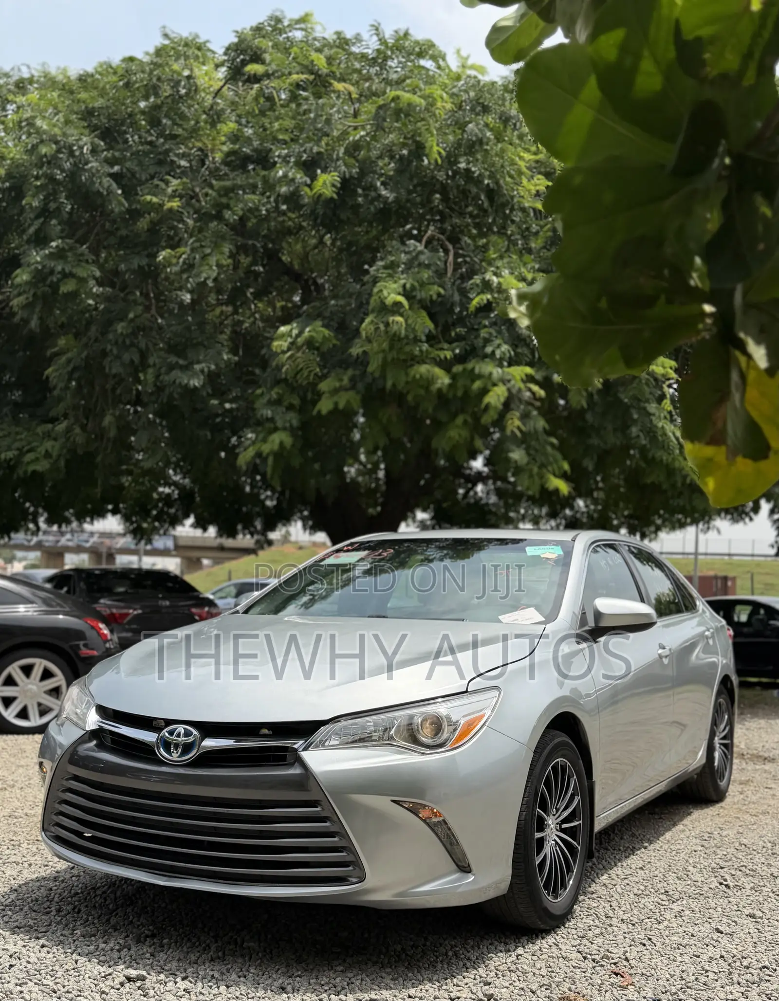 Toyota Camry XLE 4dr Sedan (2.5L 4cyl 6A) 2016 Silver