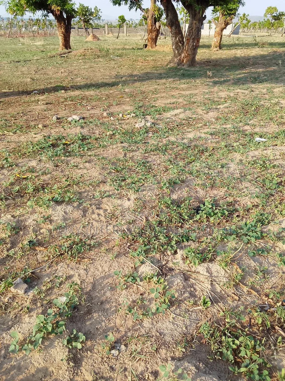 100 Hectares Land at Apo Wasa
