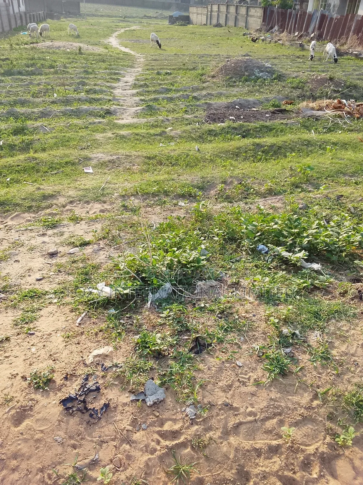 10 Hectares at Kyami