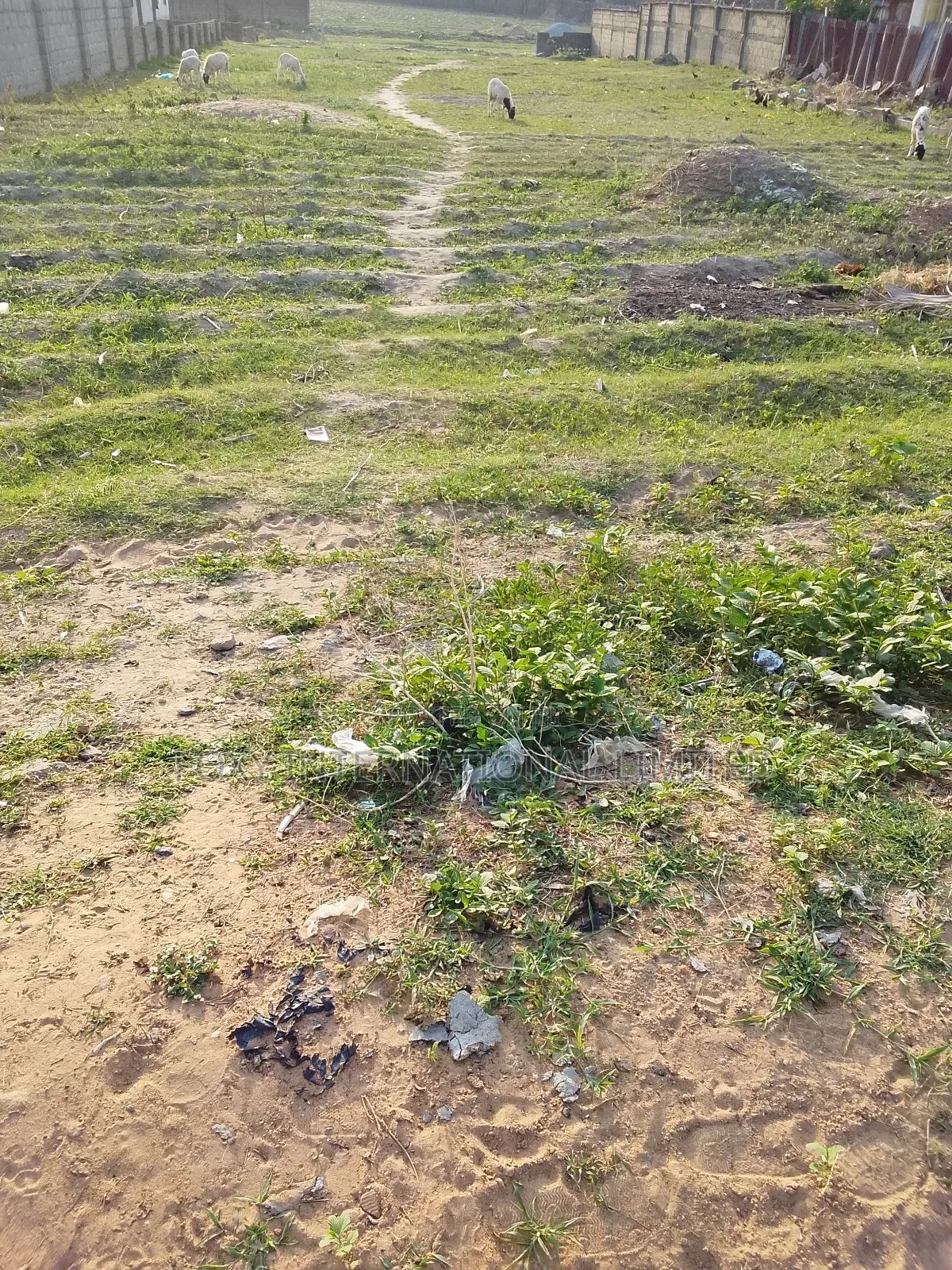10 Hectares at Kyami